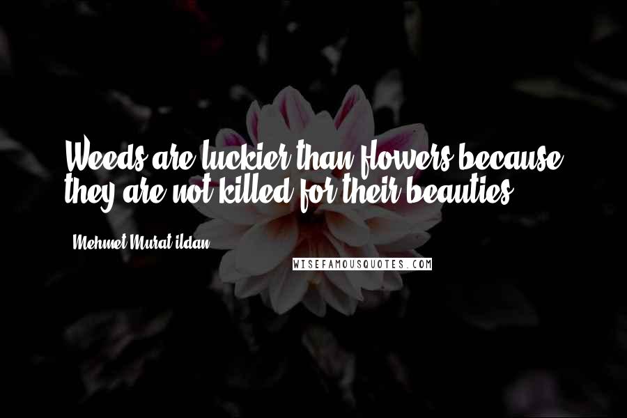 Mehmet Murat Ildan Quotes: Weeds are luckier than flowers because they are not killed for their beauties!