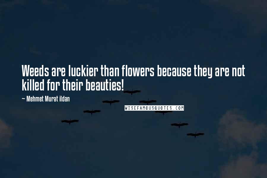 Mehmet Murat Ildan Quotes: Weeds are luckier than flowers because they are not killed for their beauties!