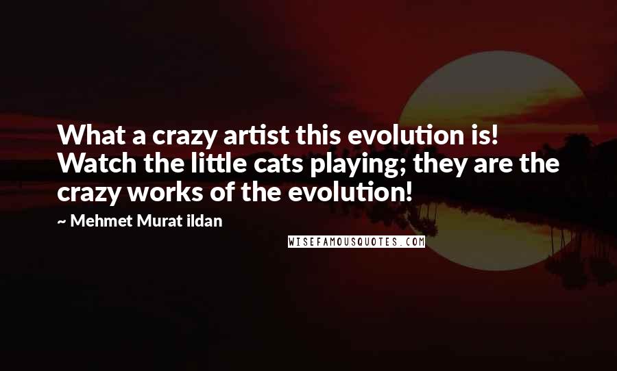 Mehmet Murat Ildan Quotes: What a crazy artist this evolution is! Watch the little cats playing; they are the crazy works of the evolution!