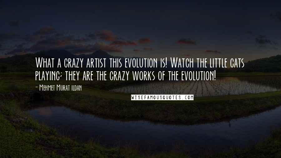 Mehmet Murat Ildan Quotes: What a crazy artist this evolution is! Watch the little cats playing; they are the crazy works of the evolution!