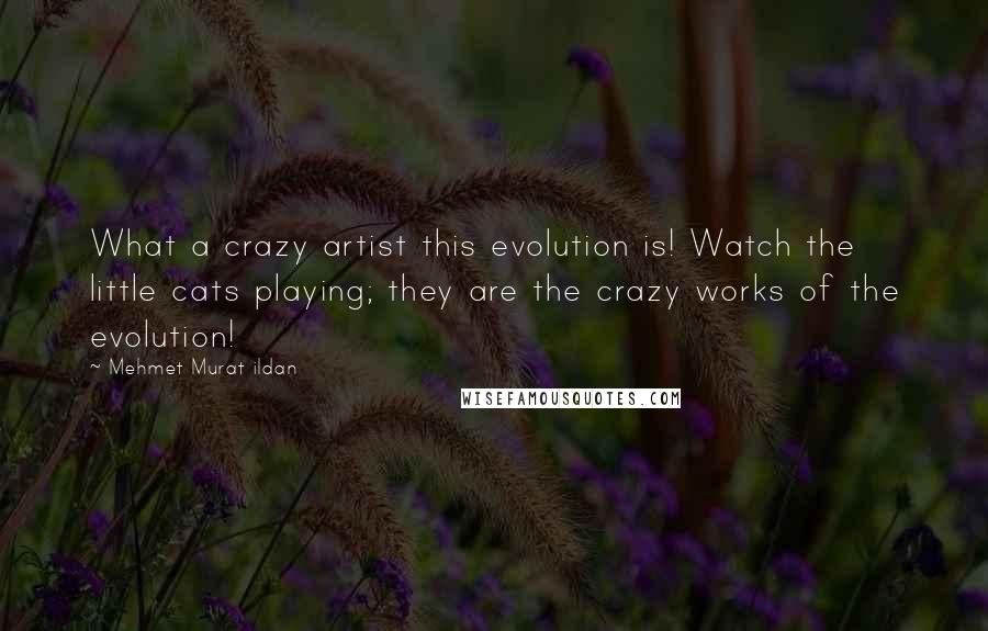 Mehmet Murat Ildan Quotes: What a crazy artist this evolution is! Watch the little cats playing; they are the crazy works of the evolution!