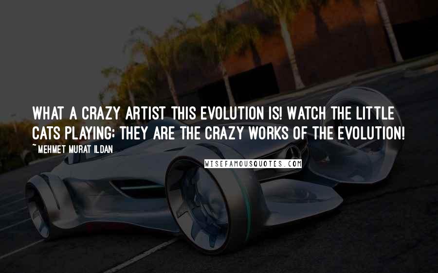 Mehmet Murat Ildan Quotes: What a crazy artist this evolution is! Watch the little cats playing; they are the crazy works of the evolution!