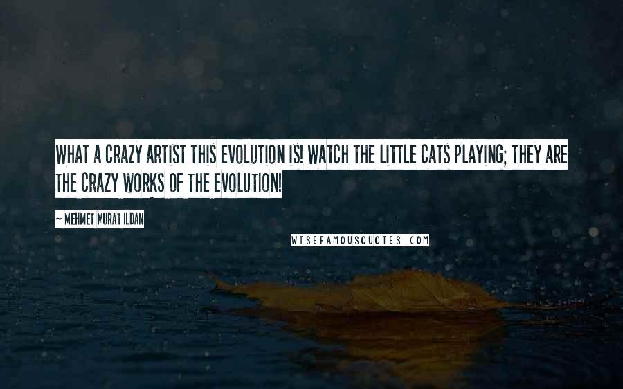 Mehmet Murat Ildan Quotes: What a crazy artist this evolution is! Watch the little cats playing; they are the crazy works of the evolution!