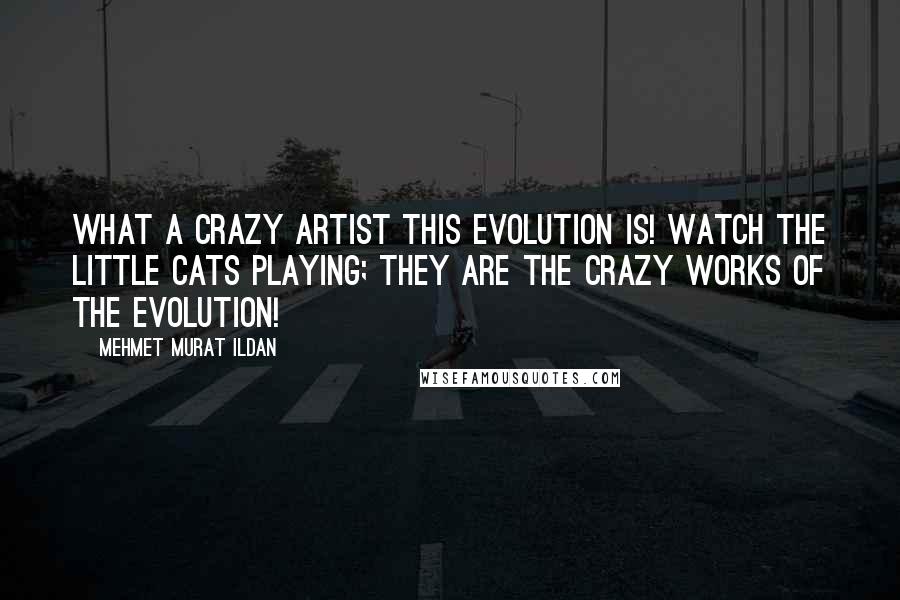 Mehmet Murat Ildan Quotes: What a crazy artist this evolution is! Watch the little cats playing; they are the crazy works of the evolution!