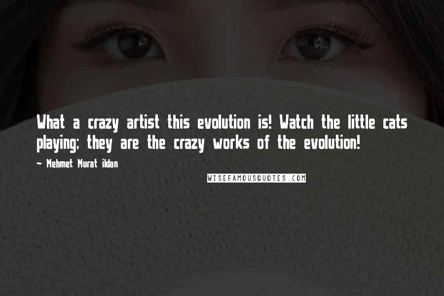 Mehmet Murat Ildan Quotes: What a crazy artist this evolution is! Watch the little cats playing; they are the crazy works of the evolution!