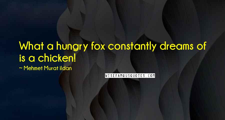 Mehmet Murat Ildan Quotes: What a hungry fox constantly dreams of is a chicken!