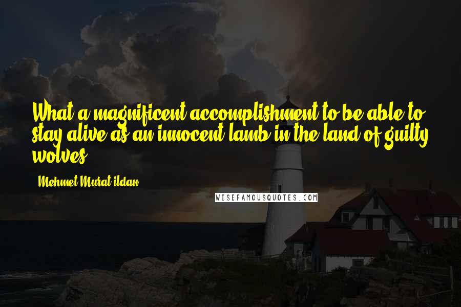 Mehmet Murat Ildan Quotes: What a magnificent accomplishment to be able to stay alive as an innocent lamb in the land of guilty wolves!