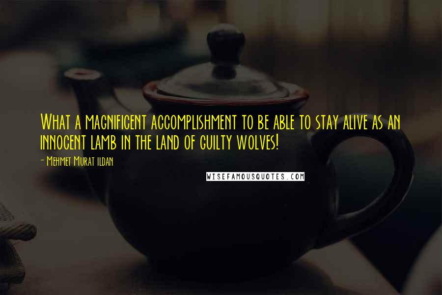 Mehmet Murat Ildan Quotes: What a magnificent accomplishment to be able to stay alive as an innocent lamb in the land of guilty wolves!