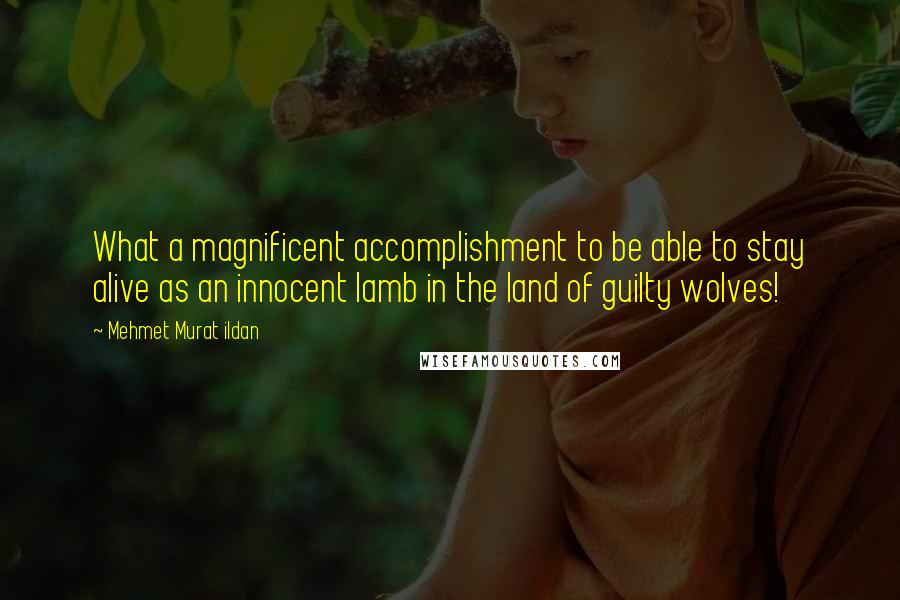 Mehmet Murat Ildan Quotes: What a magnificent accomplishment to be able to stay alive as an innocent lamb in the land of guilty wolves!