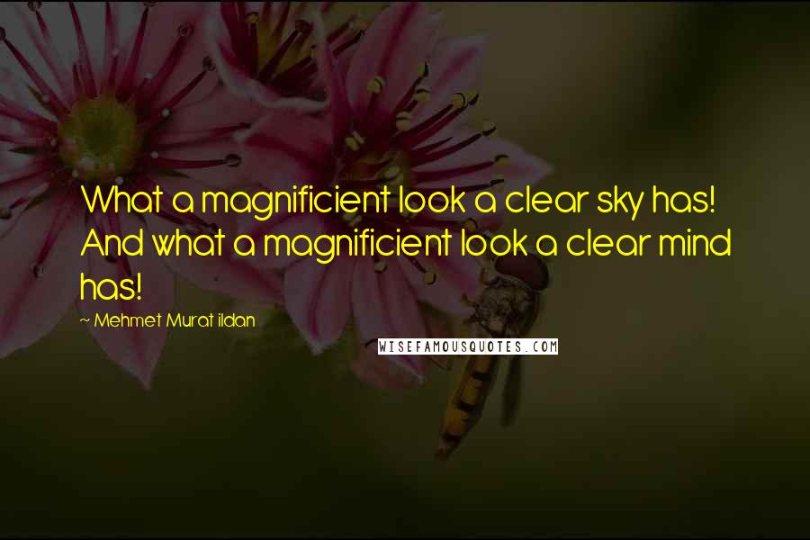 Mehmet Murat Ildan Quotes: What a magnificient look a clear sky has! And what a magnificient look a clear mind has!