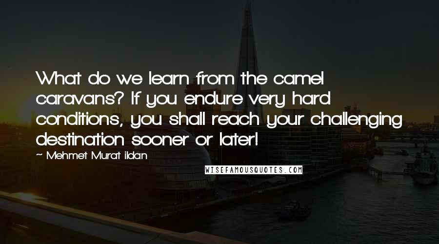 Mehmet Murat Ildan Quotes: What do we learn from the camel caravans? If you endure very hard conditions, you shall reach your challenging destination sooner or later!