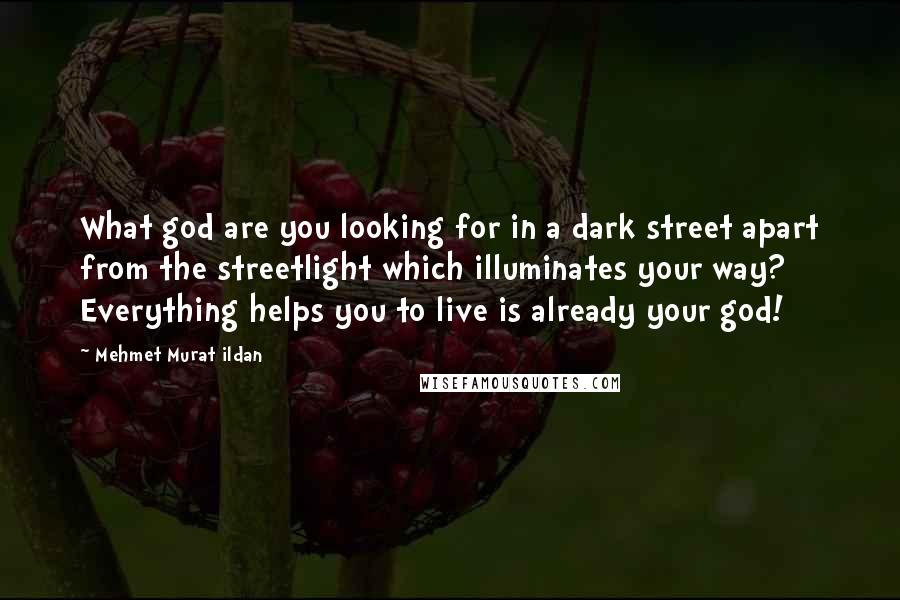 Mehmet Murat Ildan Quotes: What god are you looking for in a dark street apart from the streetlight which illuminates your way? Everything helps you to live is already your god!