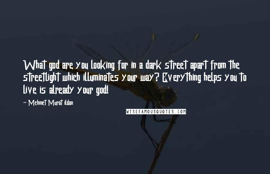 Mehmet Murat Ildan Quotes: What god are you looking for in a dark street apart from the streetlight which illuminates your way? Everything helps you to live is already your god!