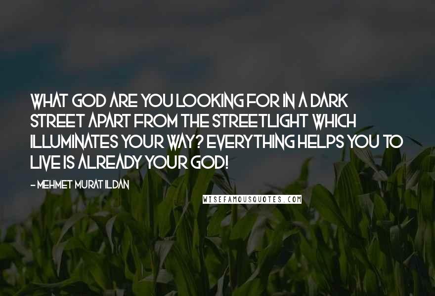 Mehmet Murat Ildan Quotes: What god are you looking for in a dark street apart from the streetlight which illuminates your way? Everything helps you to live is already your god!