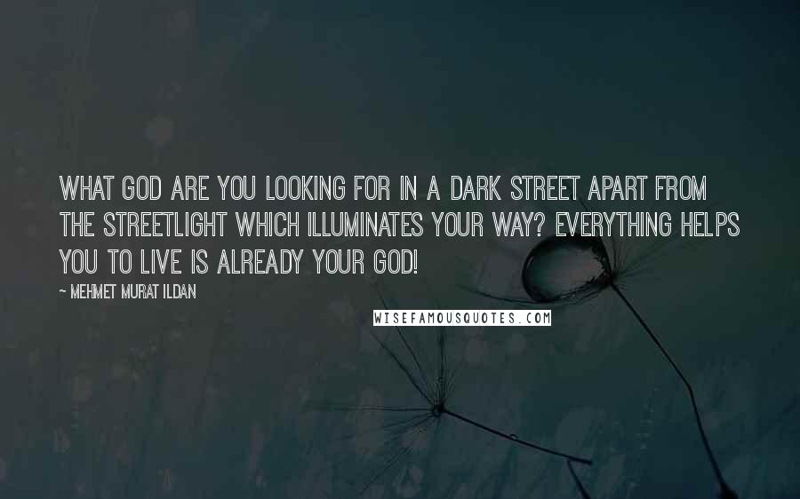 Mehmet Murat Ildan Quotes: What god are you looking for in a dark street apart from the streetlight which illuminates your way? Everything helps you to live is already your god!