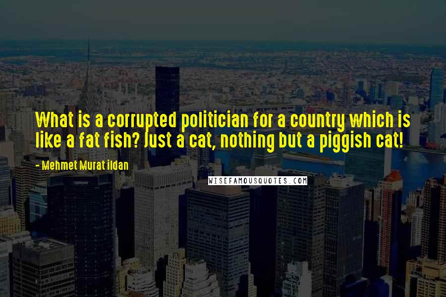 Mehmet Murat Ildan Quotes: What is a corrupted politician for a country which is like a fat fish? Just a cat, nothing but a piggish cat!