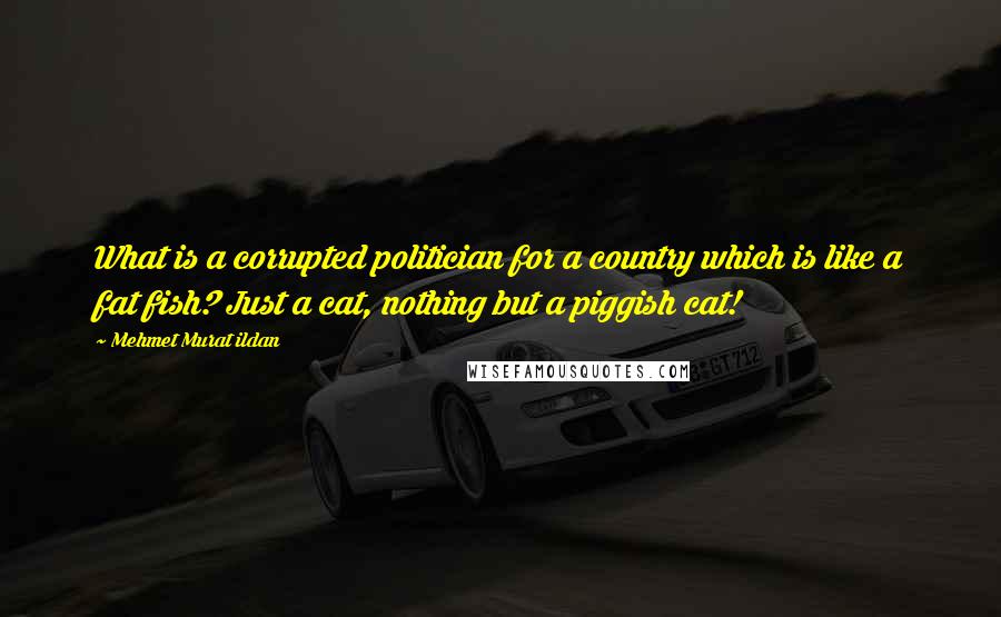 Mehmet Murat Ildan Quotes: What is a corrupted politician for a country which is like a fat fish? Just a cat, nothing but a piggish cat!