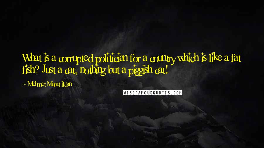 Mehmet Murat Ildan Quotes: What is a corrupted politician for a country which is like a fat fish? Just a cat, nothing but a piggish cat!