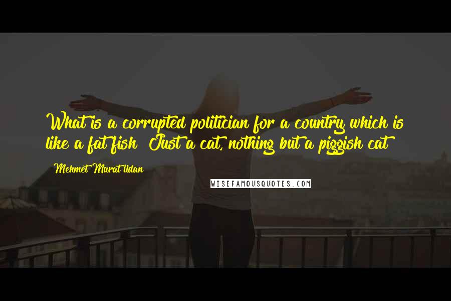 Mehmet Murat Ildan Quotes: What is a corrupted politician for a country which is like a fat fish? Just a cat, nothing but a piggish cat!