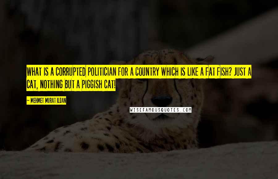 Mehmet Murat Ildan Quotes: What is a corrupted politician for a country which is like a fat fish? Just a cat, nothing but a piggish cat!