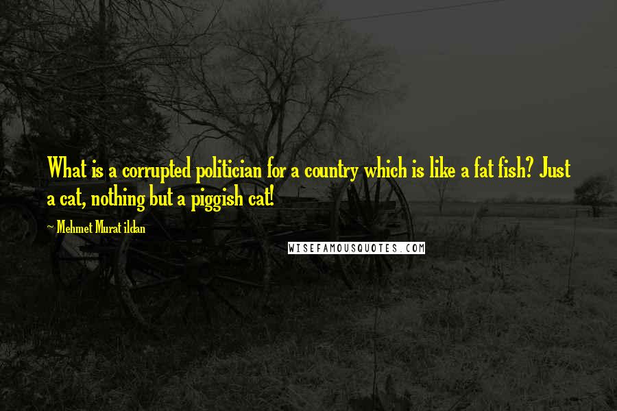 Mehmet Murat Ildan Quotes: What is a corrupted politician for a country which is like a fat fish? Just a cat, nothing but a piggish cat!