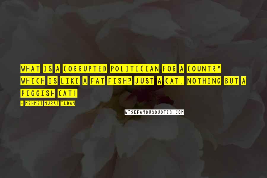 Mehmet Murat Ildan Quotes: What is a corrupted politician for a country which is like a fat fish? Just a cat, nothing but a piggish cat!