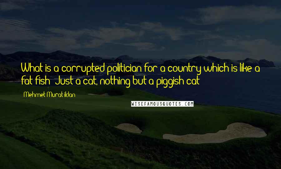 Mehmet Murat Ildan Quotes: What is a corrupted politician for a country which is like a fat fish? Just a cat, nothing but a piggish cat!