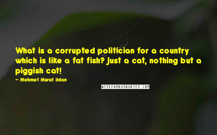 Mehmet Murat Ildan Quotes: What is a corrupted politician for a country which is like a fat fish? Just a cat, nothing but a piggish cat!