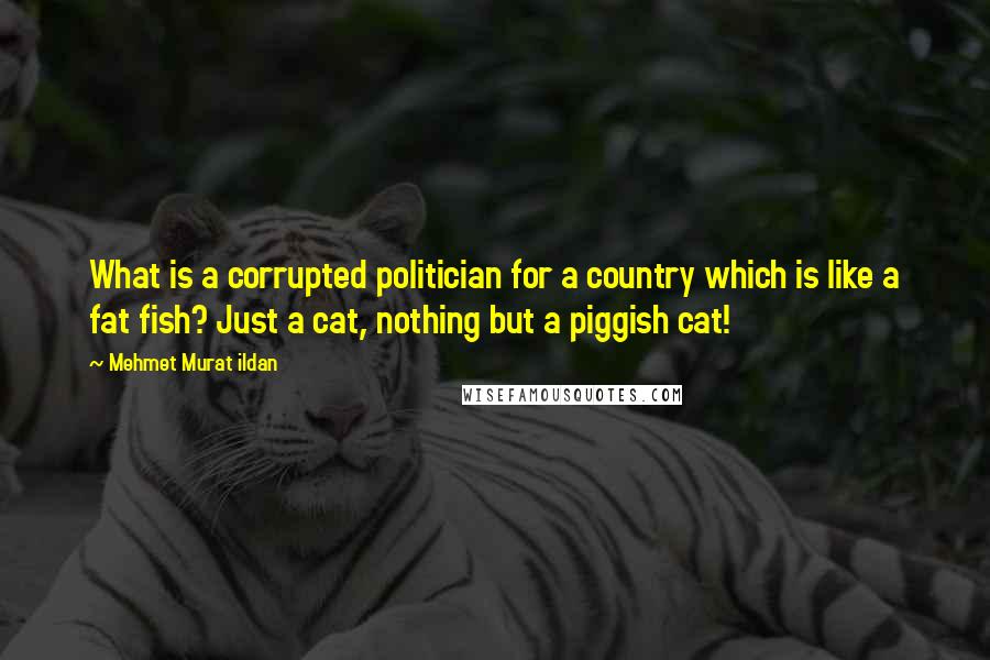 Mehmet Murat Ildan Quotes: What is a corrupted politician for a country which is like a fat fish? Just a cat, nothing but a piggish cat!