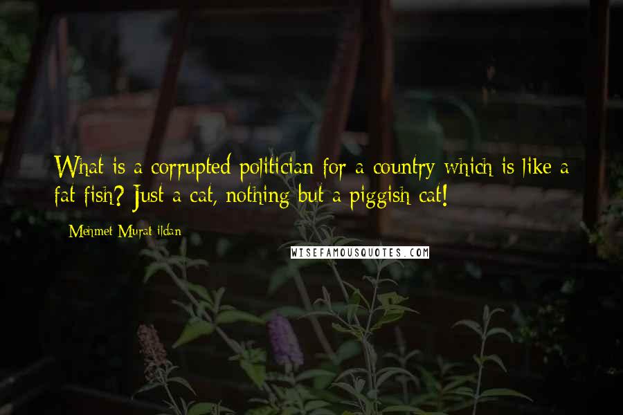 Mehmet Murat Ildan Quotes: What is a corrupted politician for a country which is like a fat fish? Just a cat, nothing but a piggish cat!