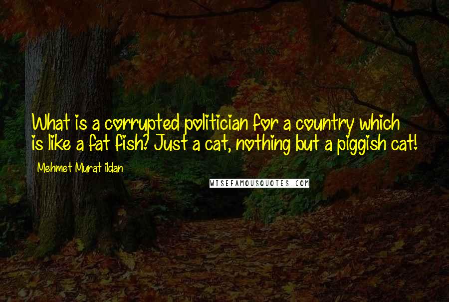 Mehmet Murat Ildan Quotes: What is a corrupted politician for a country which is like a fat fish? Just a cat, nothing but a piggish cat!