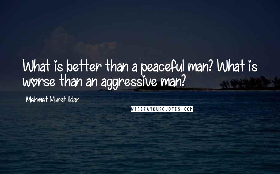 Mehmet Murat Ildan Quotes: What is better than a peaceful man? What is worse than an aggressive man?