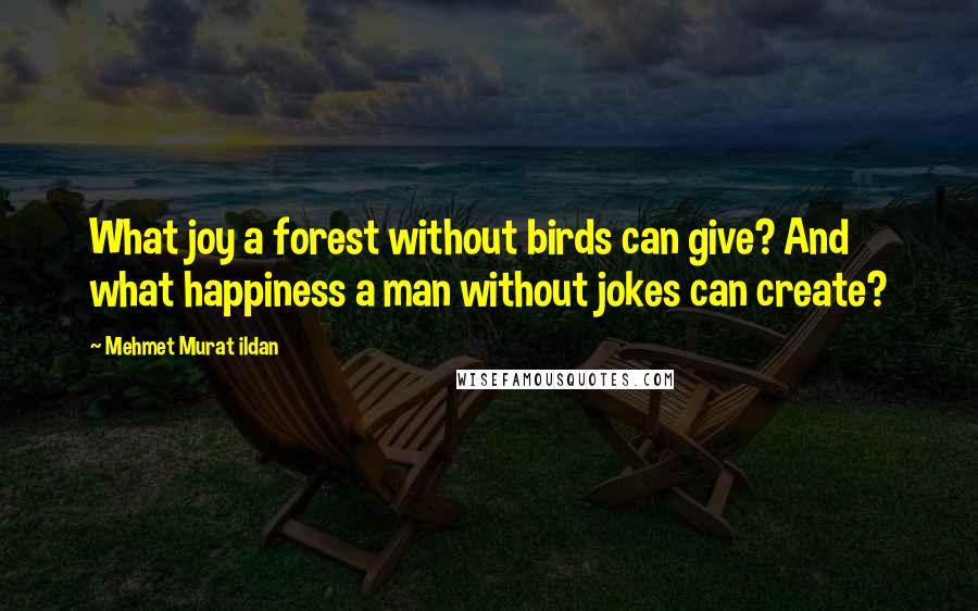 Mehmet Murat Ildan Quotes: What joy a forest without birds can give? And what happiness a man without jokes can create?