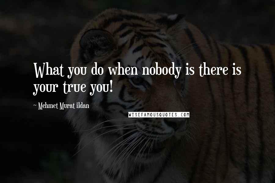 Mehmet Murat Ildan Quotes: What you do when nobody is there is your true you!