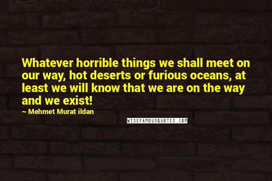 Mehmet Murat Ildan Quotes: Whatever horrible things we shall meet on our way, hot deserts or furious oceans, at least we will know that we are on the way and we exist!