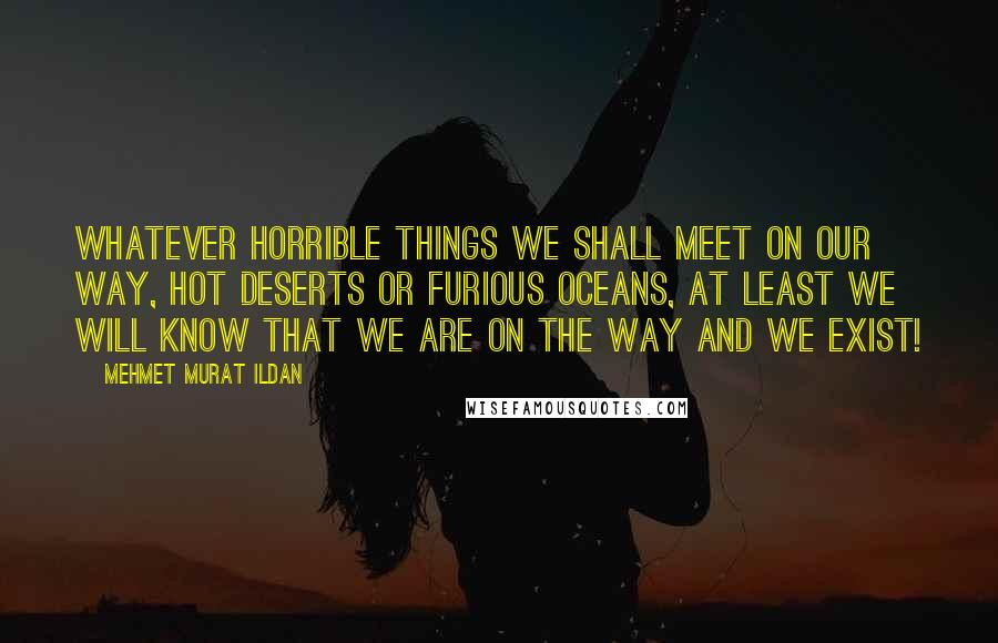 Mehmet Murat Ildan Quotes: Whatever horrible things we shall meet on our way, hot deserts or furious oceans, at least we will know that we are on the way and we exist!