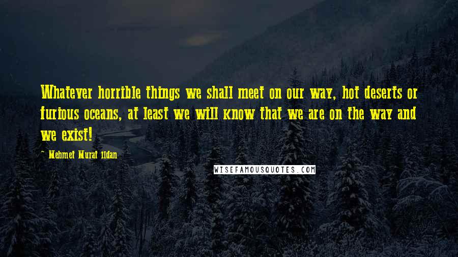 Mehmet Murat Ildan Quotes: Whatever horrible things we shall meet on our way, hot deserts or furious oceans, at least we will know that we are on the way and we exist!