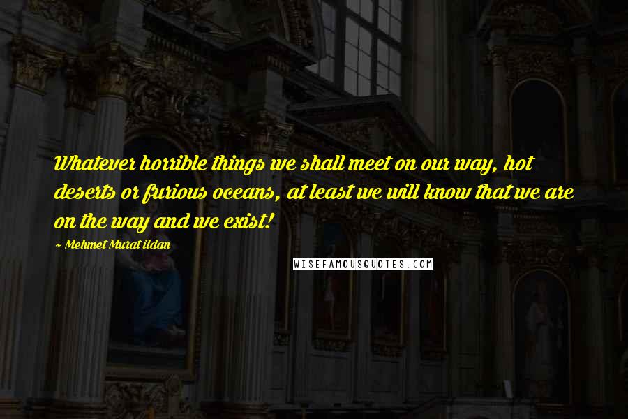 Mehmet Murat Ildan Quotes: Whatever horrible things we shall meet on our way, hot deserts or furious oceans, at least we will know that we are on the way and we exist!