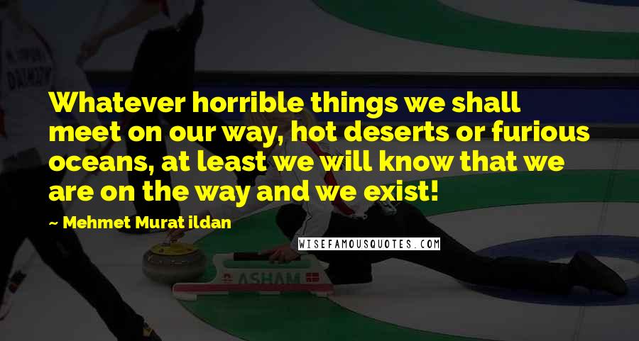 Mehmet Murat Ildan Quotes: Whatever horrible things we shall meet on our way, hot deserts or furious oceans, at least we will know that we are on the way and we exist!