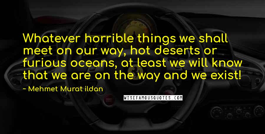 Mehmet Murat Ildan Quotes: Whatever horrible things we shall meet on our way, hot deserts or furious oceans, at least we will know that we are on the way and we exist!