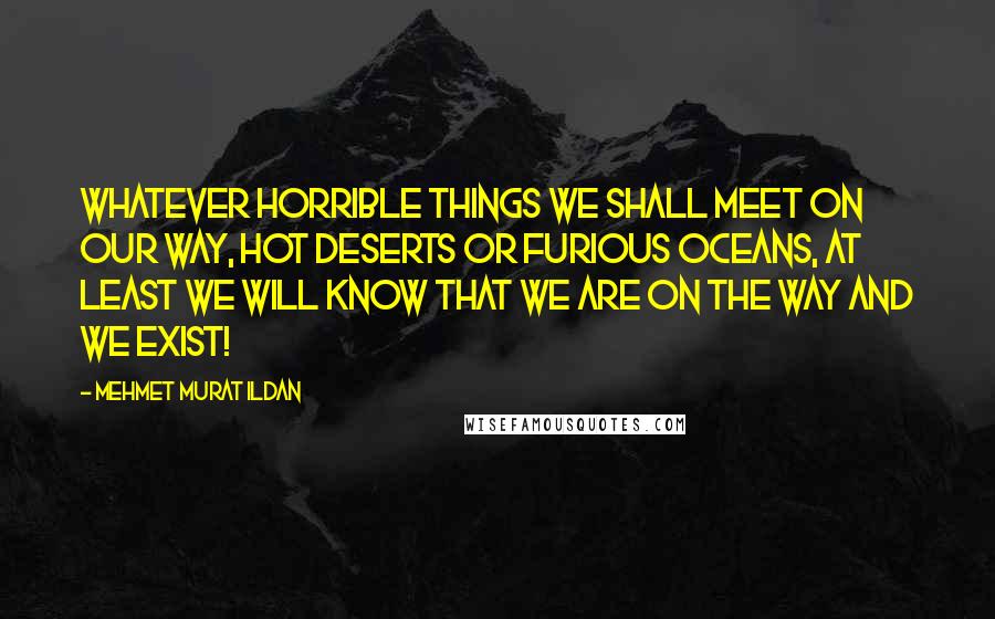 Mehmet Murat Ildan Quotes: Whatever horrible things we shall meet on our way, hot deserts or furious oceans, at least we will know that we are on the way and we exist!