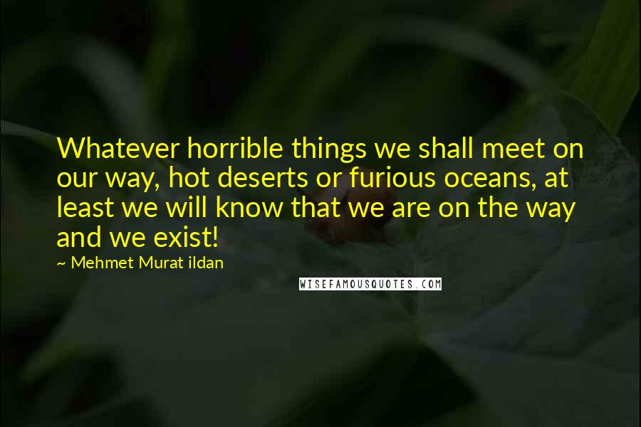 Mehmet Murat Ildan Quotes: Whatever horrible things we shall meet on our way, hot deserts or furious oceans, at least we will know that we are on the way and we exist!