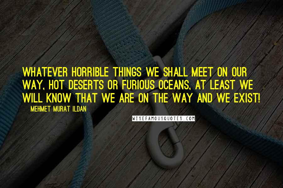 Mehmet Murat Ildan Quotes: Whatever horrible things we shall meet on our way, hot deserts or furious oceans, at least we will know that we are on the way and we exist!