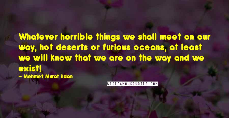 Mehmet Murat Ildan Quotes: Whatever horrible things we shall meet on our way, hot deserts or furious oceans, at least we will know that we are on the way and we exist!