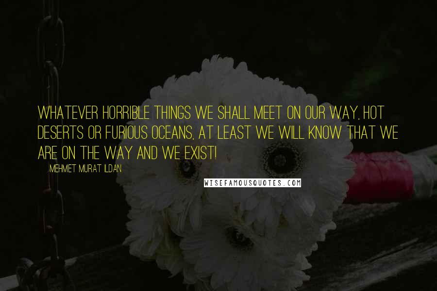 Mehmet Murat Ildan Quotes: Whatever horrible things we shall meet on our way, hot deserts or furious oceans, at least we will know that we are on the way and we exist!