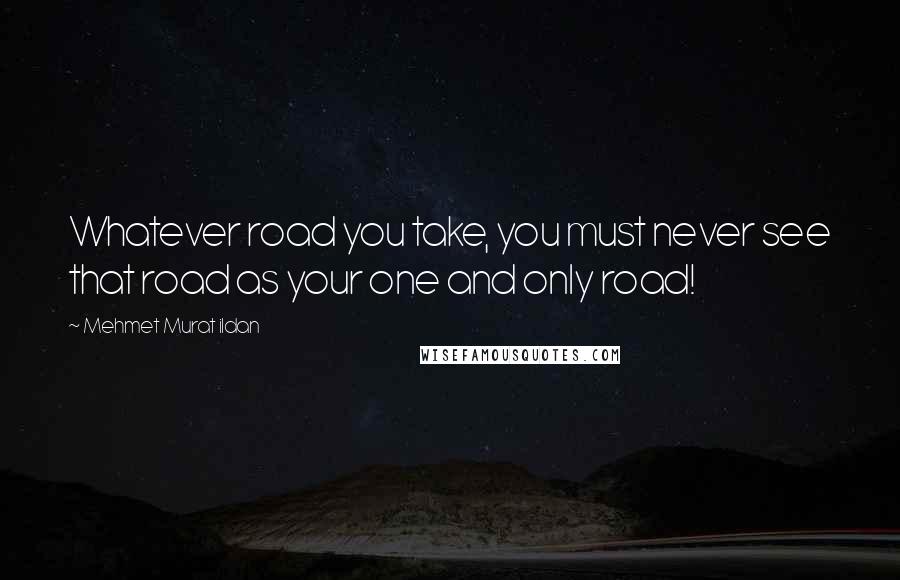 Mehmet Murat Ildan Quotes: Whatever road you take, you must never see that road as your one and only road!
