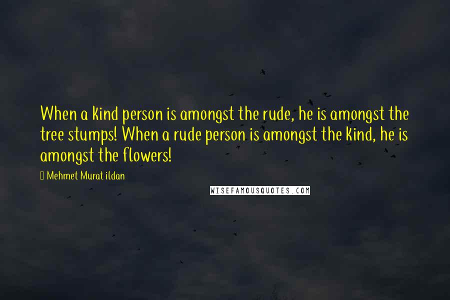 Mehmet Murat Ildan Quotes: When a kind person is amongst the rude, he is amongst the tree stumps! When a rude person is amongst the kind, he is amongst the flowers!