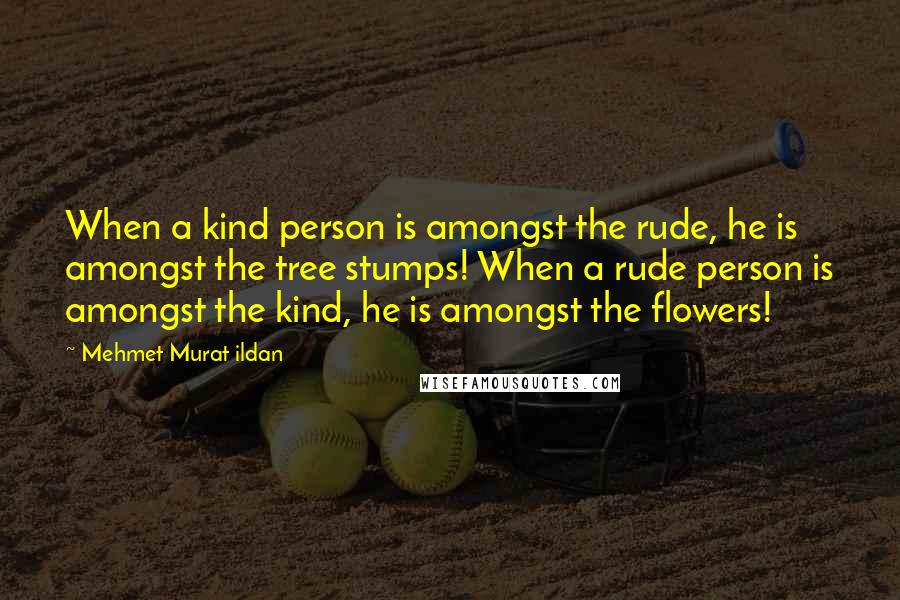 Mehmet Murat Ildan Quotes: When a kind person is amongst the rude, he is amongst the tree stumps! When a rude person is amongst the kind, he is amongst the flowers!