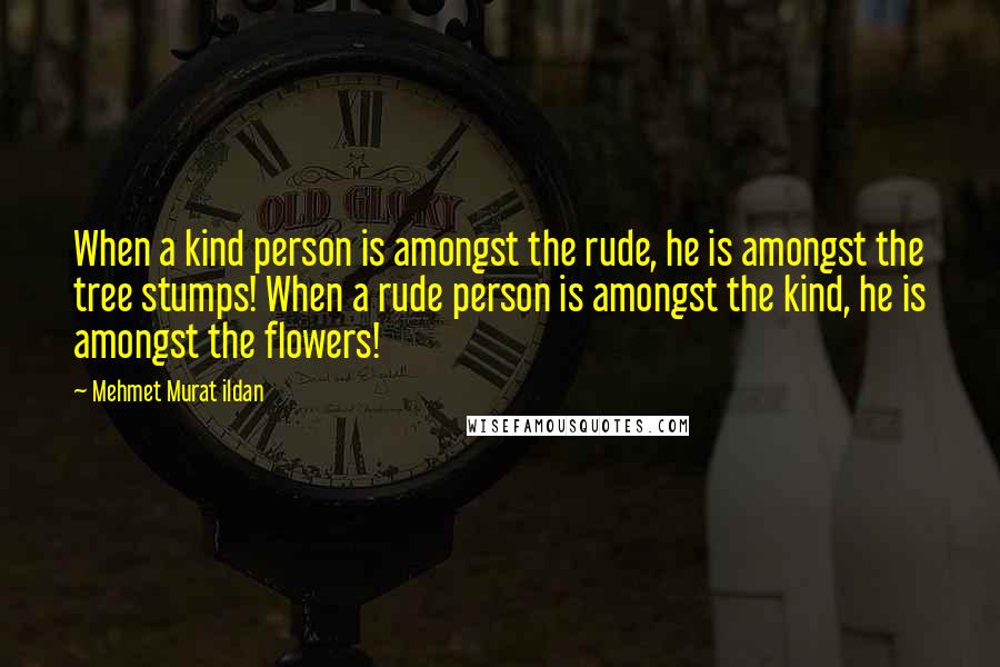 Mehmet Murat Ildan Quotes: When a kind person is amongst the rude, he is amongst the tree stumps! When a rude person is amongst the kind, he is amongst the flowers!