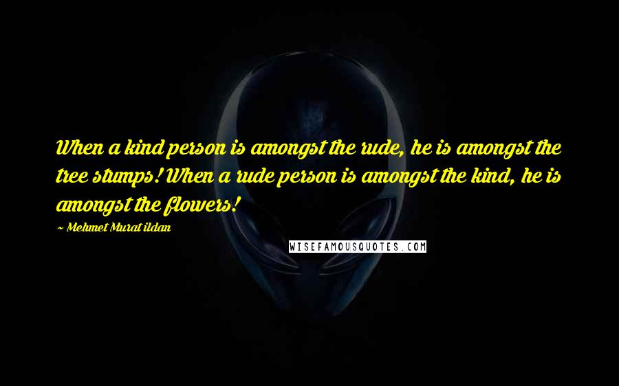 Mehmet Murat Ildan Quotes: When a kind person is amongst the rude, he is amongst the tree stumps! When a rude person is amongst the kind, he is amongst the flowers!